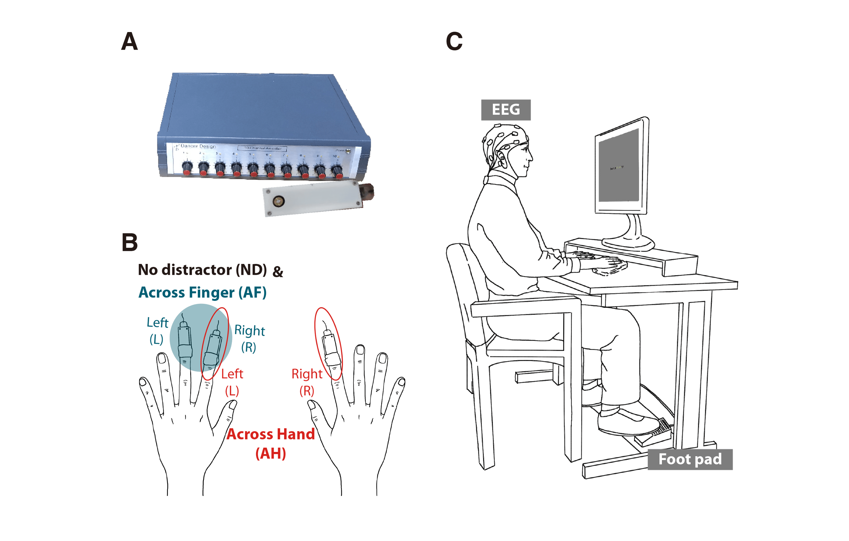 Assimilation effect on vibrotactile frequency stimulation in healthy individuals with autistic traits score